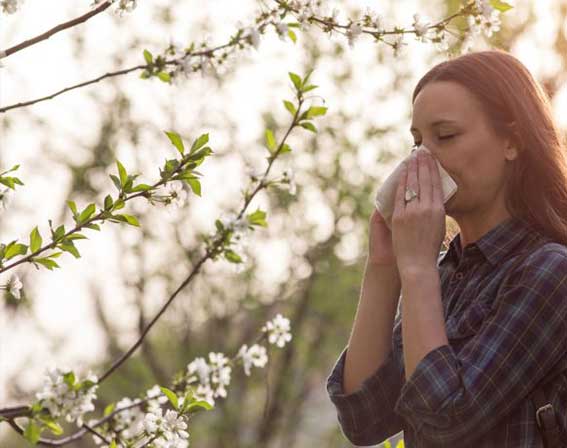 Pollen und Heuschnupfen