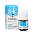 BIOCHEMIE DHU 7 Magnesium phosphoricum D 12 Glob.