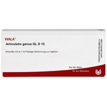 ARTICULATIO genus GL D 15 Ampullen