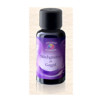 SELLIZIN®  Stechginster & Gagat